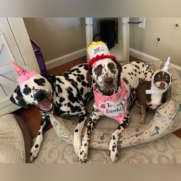 Meet your seller!!! - Picture 11 of 16